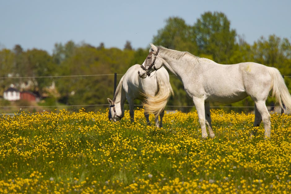 Qualify Your Leads and Multiply List Revenue